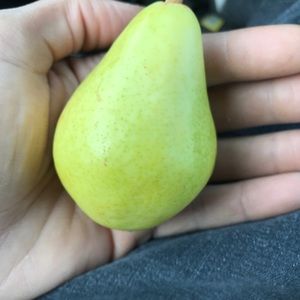 Meet your Posher, Keon